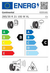 WINTERCONTACT TS 860 S | 285/30/R21 W (100)